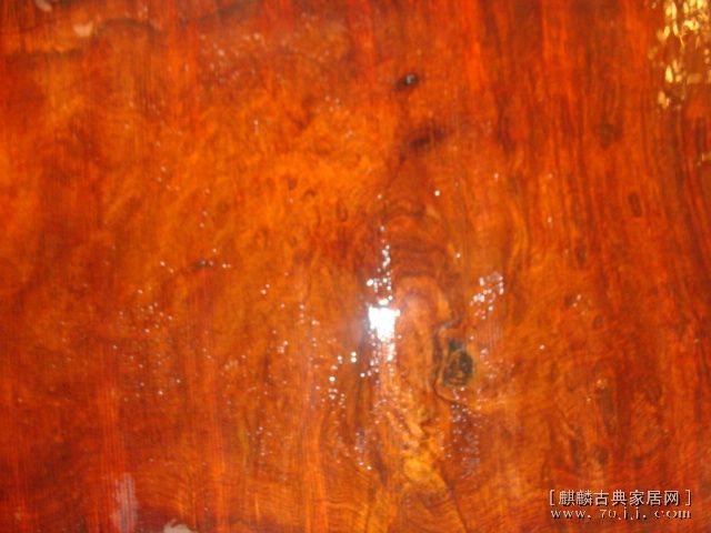 DSC01410.JPG