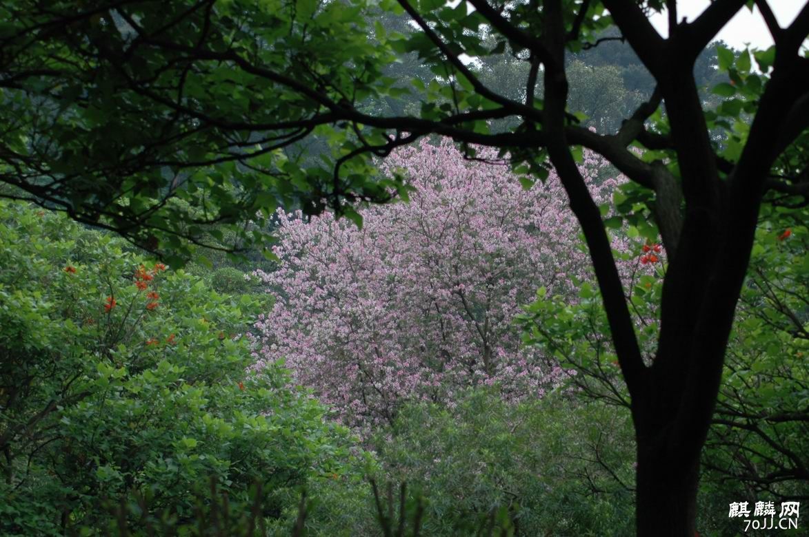 調整大小DSC_3158.JPG