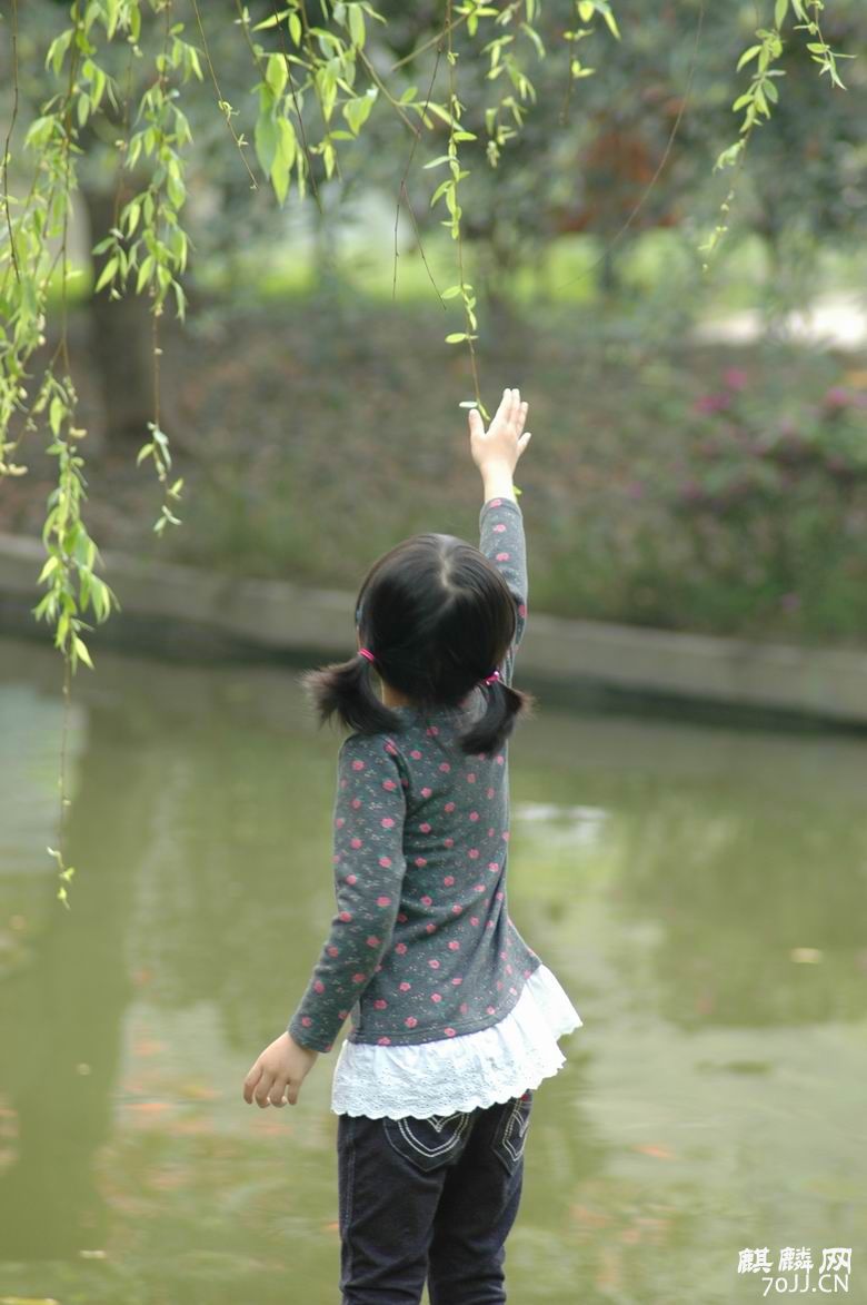 調整大小DSC_3185.JPG