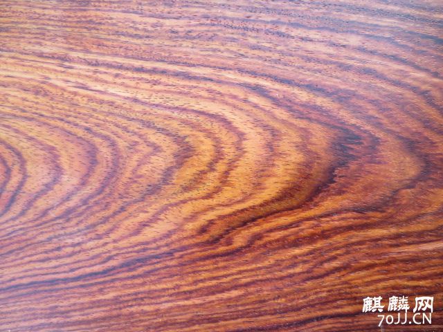 080.JPG