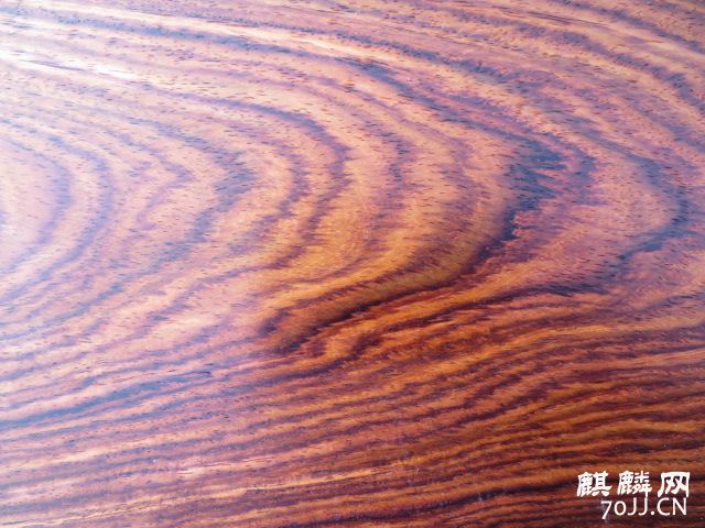 081.JPG