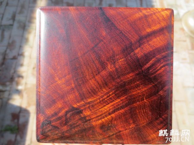 049.JPG