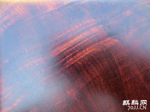 054.JPG