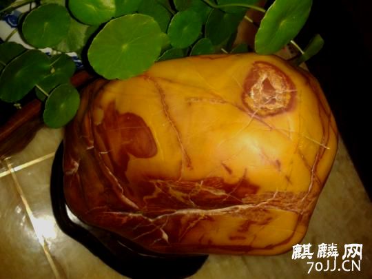 TB2TJ67aXXXXXaIXXXXXXXXXXXX_!!621499042_meitu_1.jpg