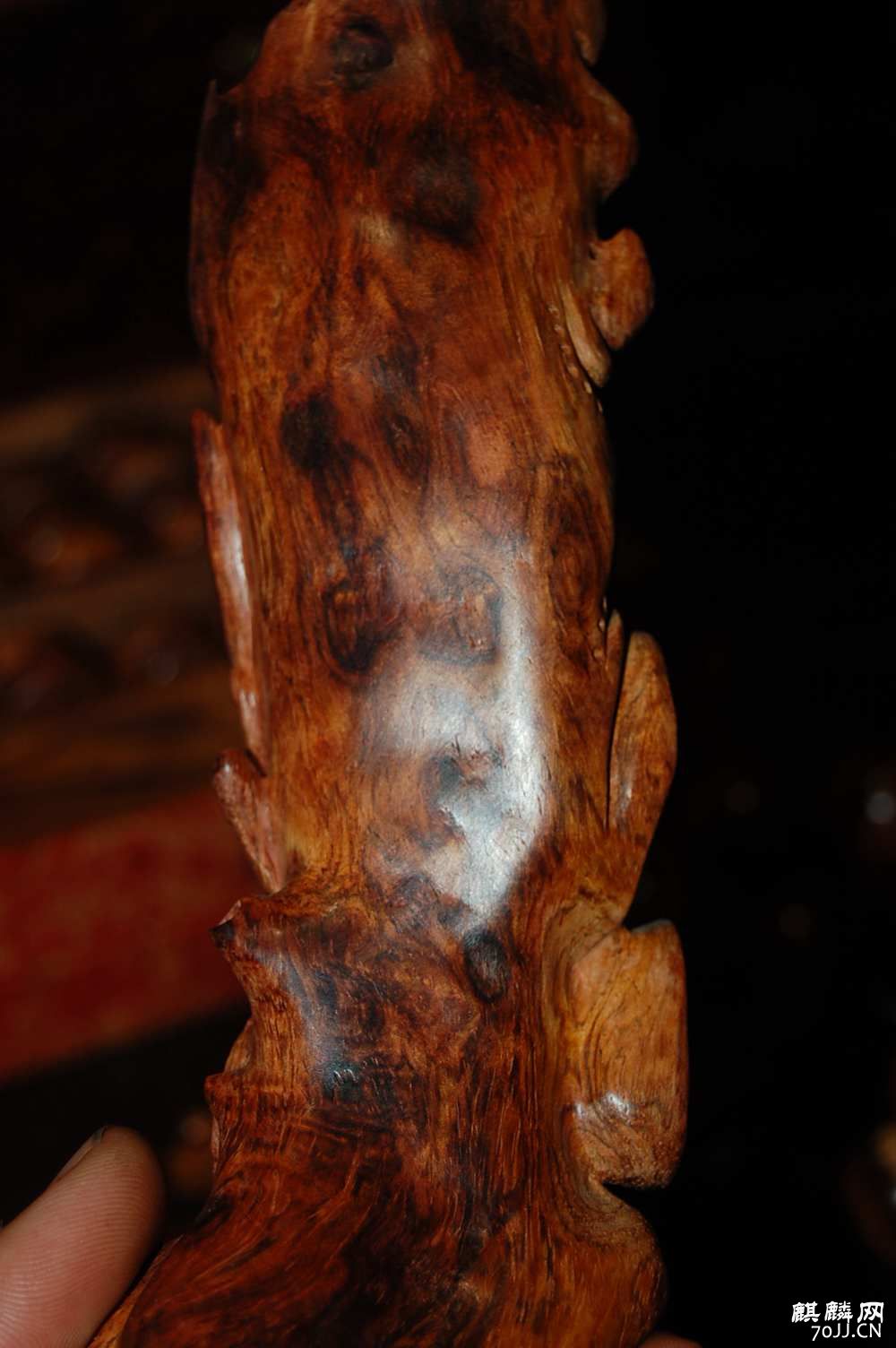 DSC_7002.JPG
