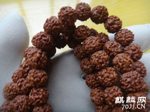 DSC01801_.jpg