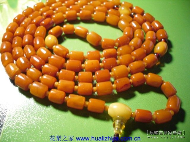 SDC13592.JPG