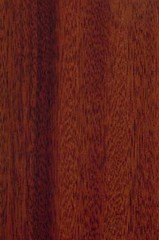 20100707112308513.jpg