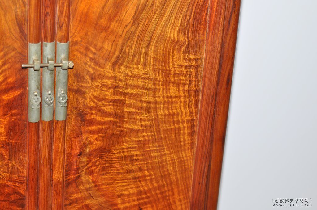 DSC_6359_Ӱ_1.jpg