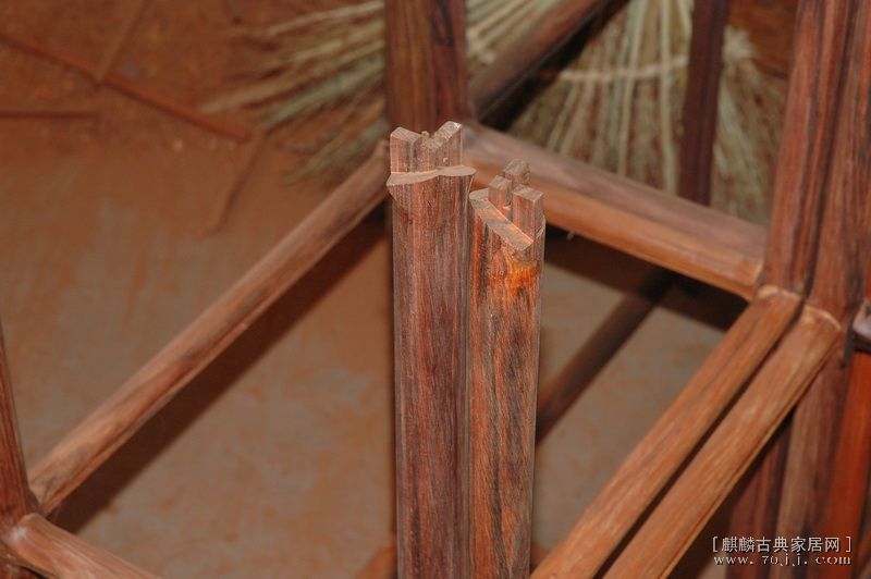 DSC_6336.jpg