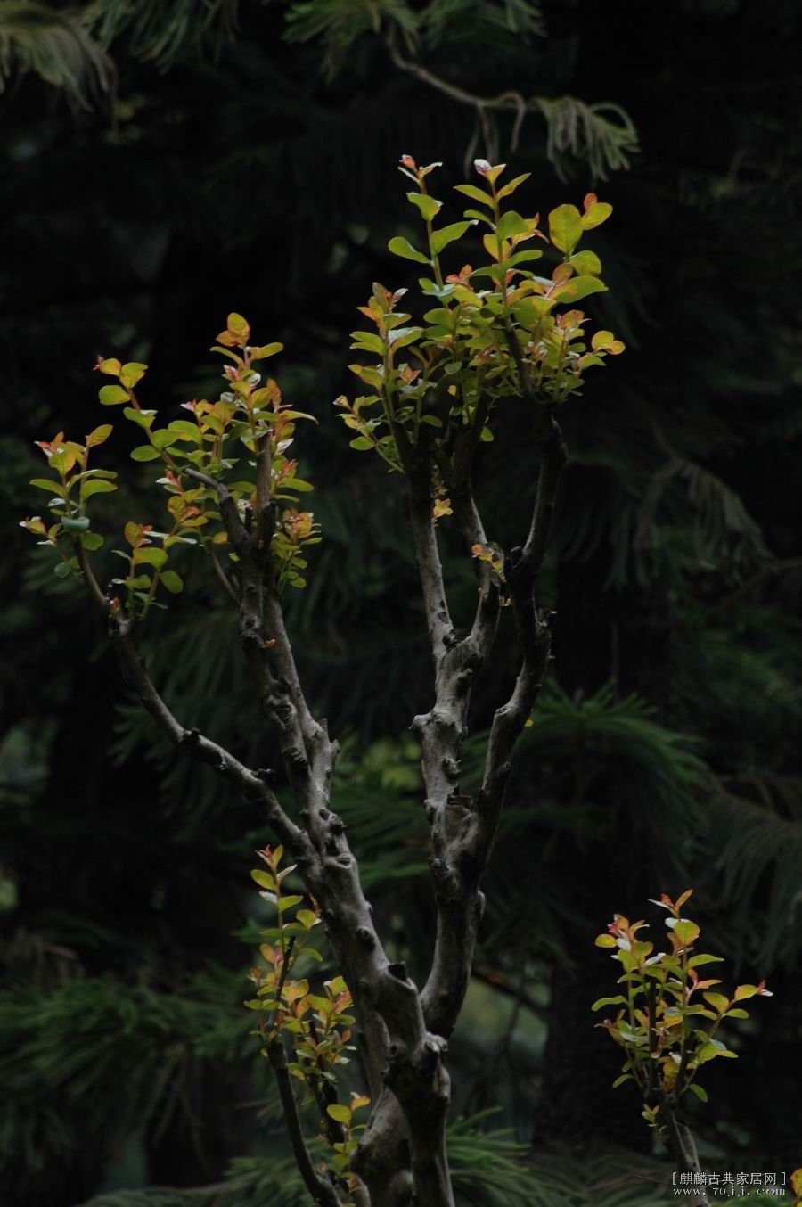 С DSC_9360.JPG